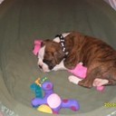 Denise Denny - @mdsd99 - Twitter