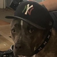 Peto Digiorgio (@petodigiorgio) 's Twitter Profile Photo Peto Digiorgio (@petodigiorgio) 's Twitter Profile Photo
