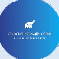 Chokchai Elephant Camp(@chokchai_camp) 's Twitter Profile Photo