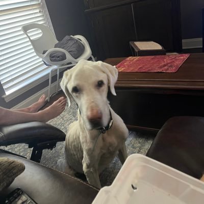 AlecRob09666948's profile picture. 