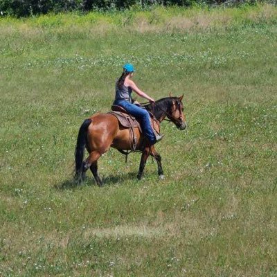 Rocking EF Performance Horses | this shit show is brought to you by tylenol extra strength, espresso, and m&ms | madly in love with a certain welder