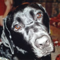 Eric Coyan (@biggtastee) 's Twitter Profile Photo Eric Coyan (@biggtastee) 's Twitter Profile Photo