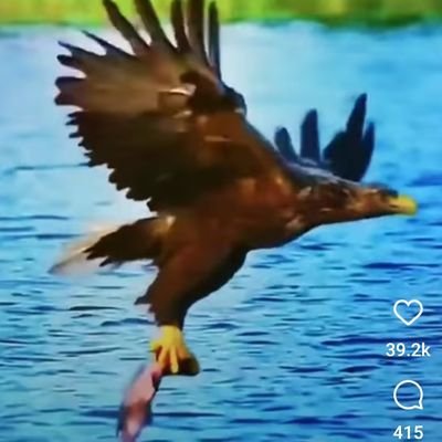 JandeeXxdjandee's profile picture. หมอนวดชาย  แก้อาการต่างๆของร่างกาย  นวดบัาบัด.. อโรม่า .. คลายเครียด ..ฯลฯ