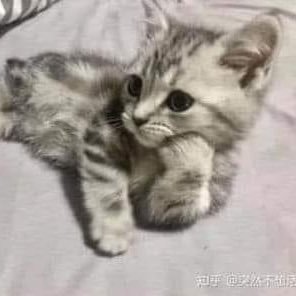 Keiko_A53's profile picture. 