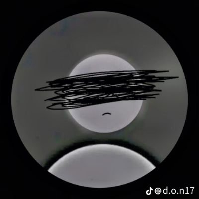 MsMw539276's profile picture. ฟีดด