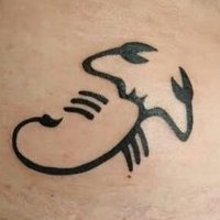 Maduroeativo (@maduroeativo1) 's Twitter Profile