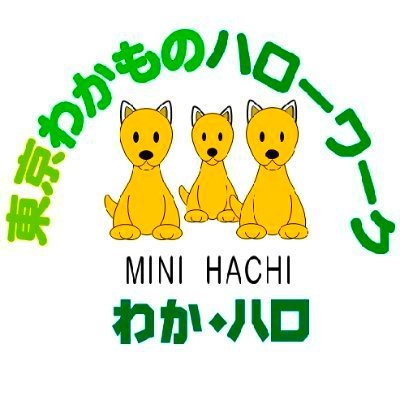 正社員を目指す３４歳以下の方の就職サポートをしている東京わかものハローワークの公式アカウントです。
こちらで開催している各種セミナーや企業面接会などのイベント情報をメインにお伝えします。
※いただいたコメントやDMには返信しておりません。ご意見は、東京労働局ホームページ「東京労働局へのご意見」からお寄せください。