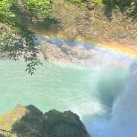 ギャン妻しー (@syosingyan) 's Twitter Profile