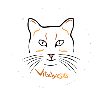 Vitaly Cats(@vitalycats) 's Twitter Profileg