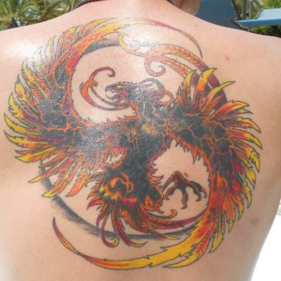 steburdy's profile picture. Lover of common sense, truth, peace, justice the universe and how things work, everything is energy,✌️❤️🍀🙏🙏🙏.