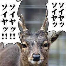 おにいたんさんのプロフィール画像