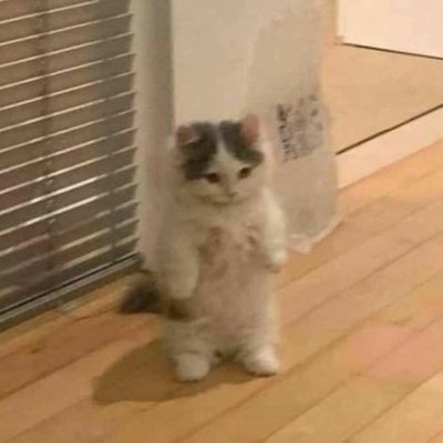 yerick3432yt1's profile picture. streamer en twich: https://t.co/zHqXLh72UW 
 🇲🇽🤝🇺🇸