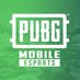 PUBG Mobile Esports Pakistan 🇵🇰 (@pubgmesportspk) Twitter profile photo