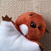 源太郎さんのプロフィール画像
