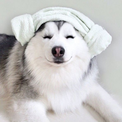 HihihiHaha89606's profile picture. 