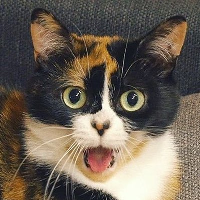 SlivkiCookie's profile picture. 