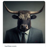 2025 bigbull (@c2b2025) 's Twitter Profile