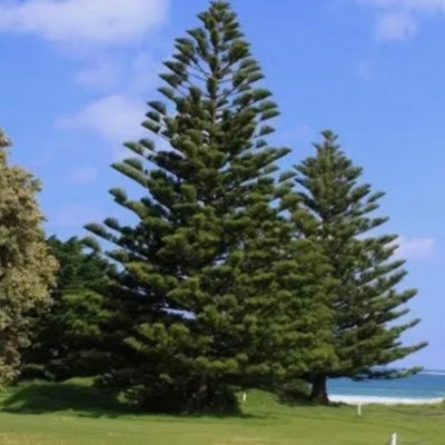 U5Jie's profile picture. 