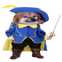 Cathrina (@paniercathrin) 's Twitter Profile Photo Cathrina (@paniercathrin) 's Twitter Profile Photo