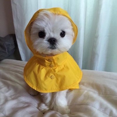 Come with rain🌧️