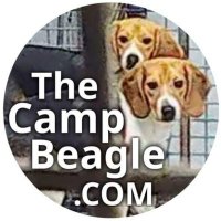 TheCampBeagle.com(@TheCampBeagle_) 's Twitter Profile Photo