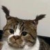 Onlyies (@1lisacoming) Twitter profile photo Onlyies (@1lisacoming) Twitter profile photo