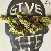Stoner Hun x SmilenWave 🇿🇦 (@m98nelly) 's Twitter Profile Photo