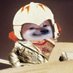 Buckie Rogered 🍆 #together🚜 (@bucktron2021) Twitter profile photo Buckie Rogered 🍆 #together🚜 (@bucktron2021) Twitter profile photo