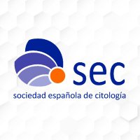 Sociedad Española de Citología (@secitologia) 's Twitter Profile Photo Sociedad Española de Citología (@secitologia) 's Twitter Profile Photo