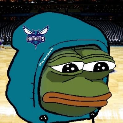 HornetsShowYo Profile Picture