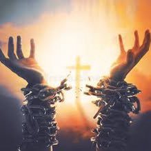 ViolatedTheLaw's profile picture. 