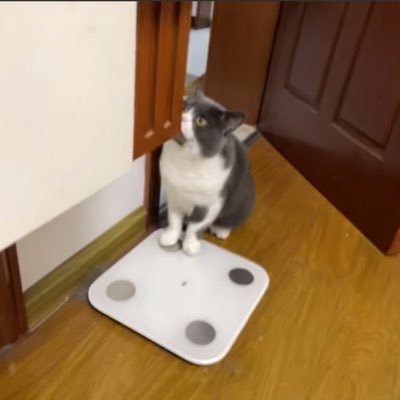 Isen1090908's profile picture. 