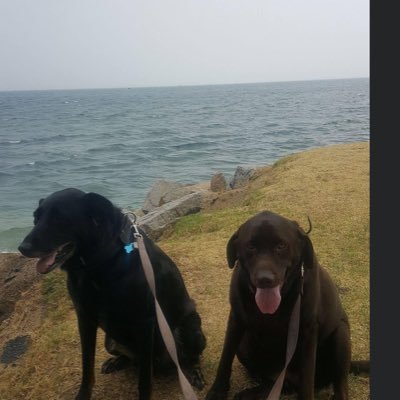 kukibtc's profile picture. 