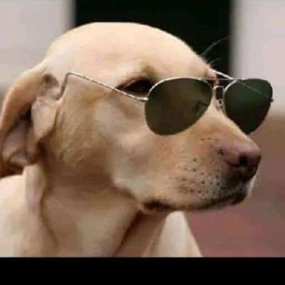 BoniziokiMunyao's profile picture. Civil,Construction and project management