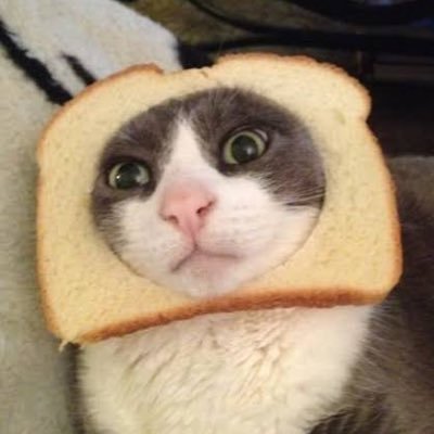 notyournene's profile picture. I'm the problem, it's me | 🍄🍓