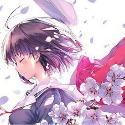 HamachiTai72467's profile picture. 