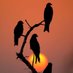 pallavi Gowda (@gpallavi837) Twitter profile photo pallavi Gowda (@gpallavi837) Twitter profile photo