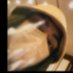 萱 (@fantasia_yilan) Twitter profile photo 萱 (@fantasia_yilan) Twitter profile photo