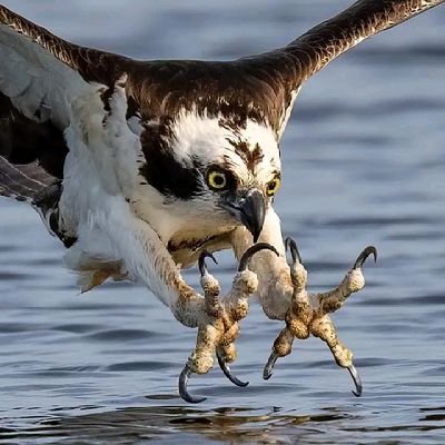 upwiththet6134's profile picture. introvert