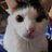 mokomama22's profile image