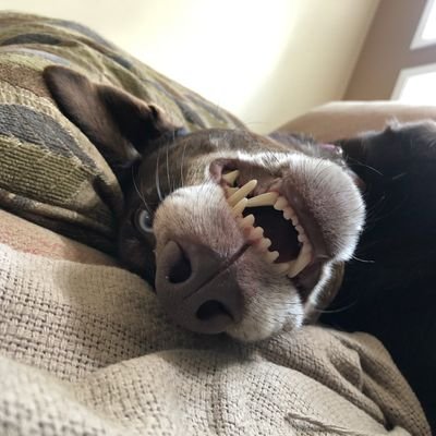 BreppeT24's profile picture. I'm not people