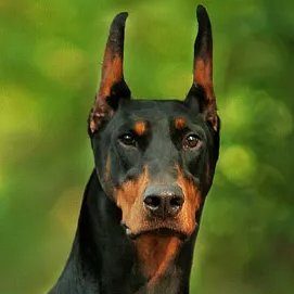 Richard50939123's profile picture. contrarian - middle kid of 7
My pride flag is Red White and Blue!

I work in a Military Logistics Support field and I write SOPs for unmanned vehicles.