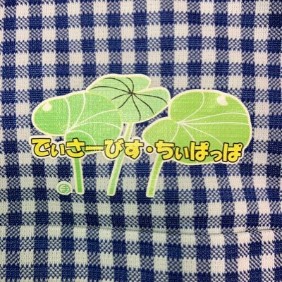 沖縄で活動しているデイサービスです。「ちぃぱっぱ」は沖縄の方言で「つわぶき」を意味します。つわぶきは多年草（たねんそう）で過酷な状況でも枯れることなく花を咲かせ続ける植物です。当施設を利用することでつわぶきのようにどんな過酷な状況でも咲き続ける綺麗な花であってほしいという気持ちを込めてこの名前になりました。