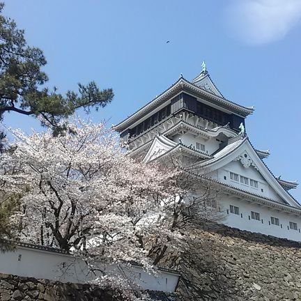 菅井竜也八段＆狩山幹生四段を応援しています。