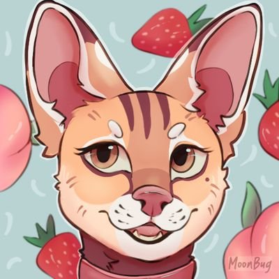 little paw!さんのプロフィール画像