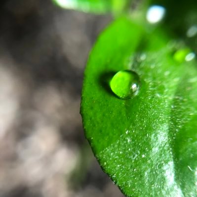 tooraj's profile picture. در تلاش برای نگهداشتن شیبِ مثبتِ رگرسیونِ کیفیتِ زندگی