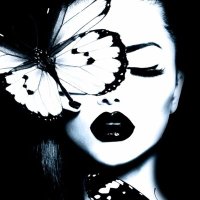 Stealth Butterfly (@stealthbutterf1) 's Twitter Profile