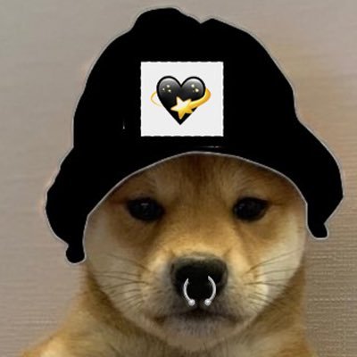 sltdragon's profile picture. if you know me in real life this isn’t her