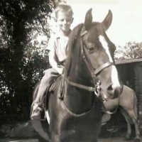 Roy Pearson (@roypearson68364) 's Twitter Profile