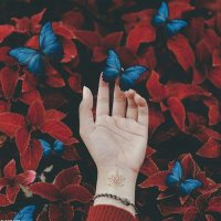 مشاعل العتيبي (@khledgss) 's Twitter Profile